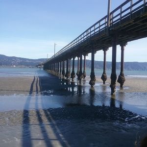 Meet your Posher, Avery